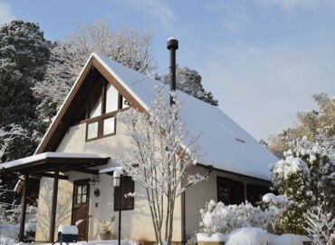 雪のやまぼうし