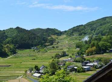 能勢の棚田